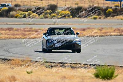 media/Nov-16-2024-Extreme Speed (Sat) [[6587d07cc4]]/Silver Group/Session 2 (Turns 3 and 5)/